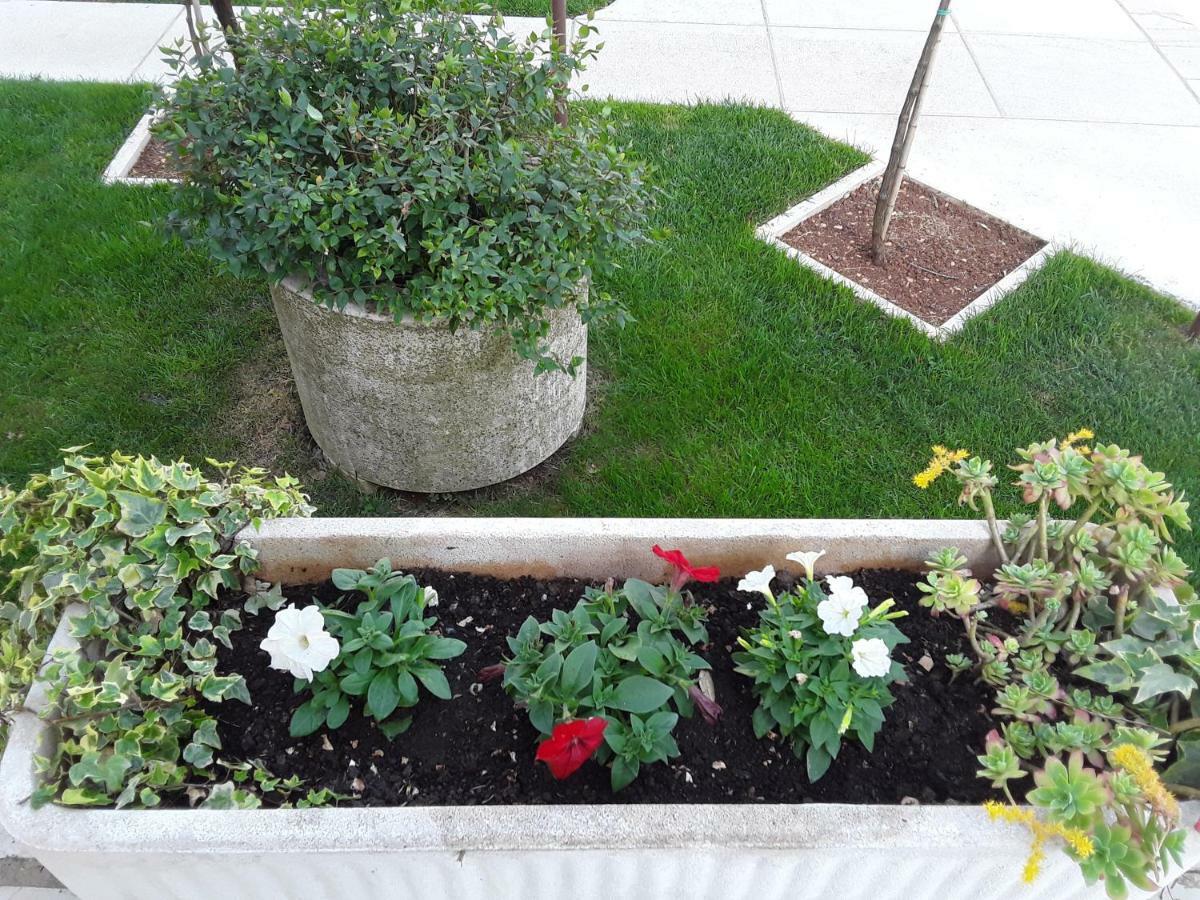 Apartment Mirta Пула Екстер'єр фото